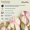 KnitPro Symfonie Premium Hand-Dyed Merino Wool & Polyamide Sock Yarns|Terra Variegated Colors